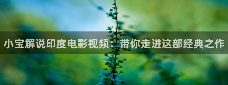 樱花视频在线观看视频