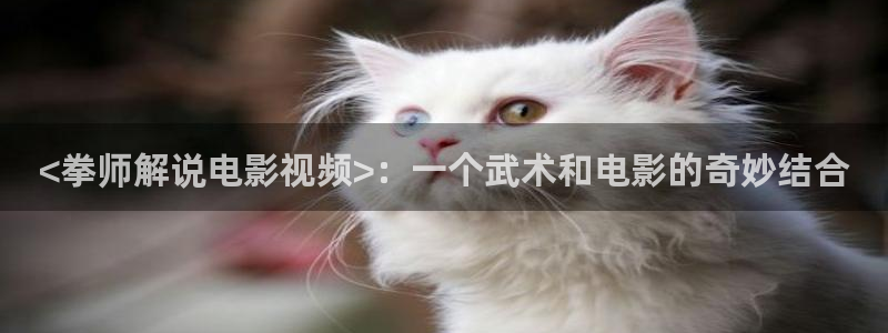 在线免费观看樱花影院