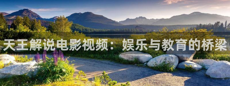 亚洲樱花视频