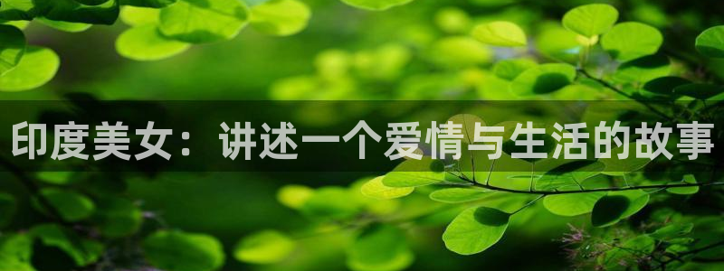 盾之勇者成名录樱花视频
