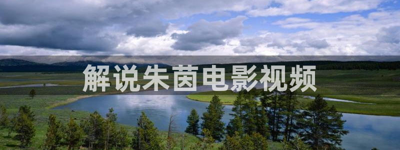 樱花视频h