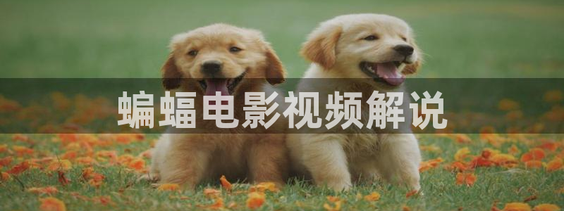 樱花影院免费看剧方法