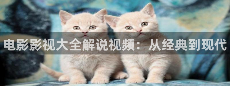 樱花视频韩国
