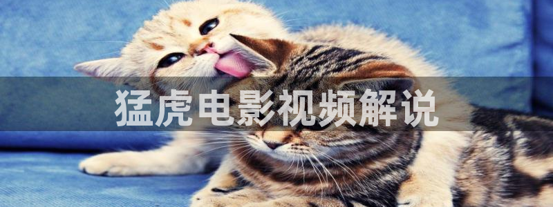 天使降临到我身边樱花视频