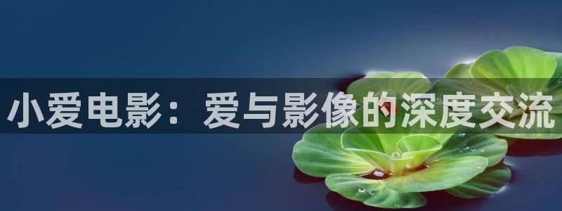 樱花视频高清版