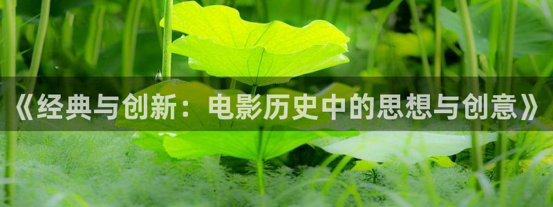 樱花视频官