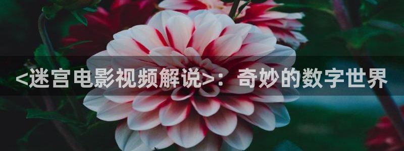 私人樱花影院