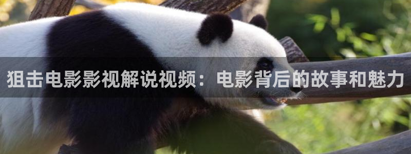 樱花视频原神