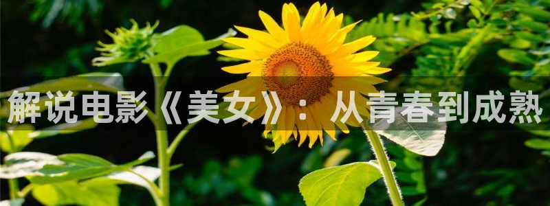 樱花视频在线下载