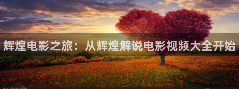 樱花视频高清免费观看电视剧