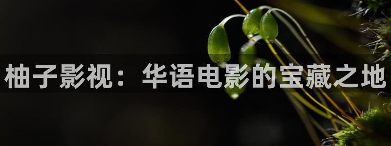 樱花影院在线免费看的电视剧