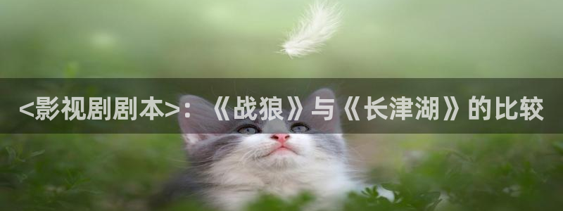 樱花视频入口