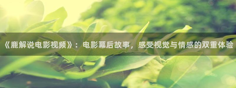 樱花视频大全集