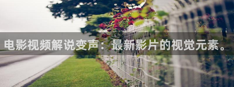樱花视频在线www