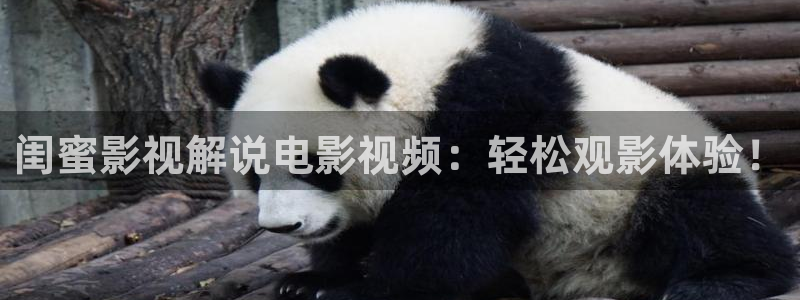 樱花影院电视剧免费观看全集