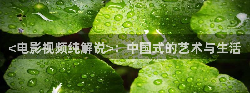 8522樱花视频