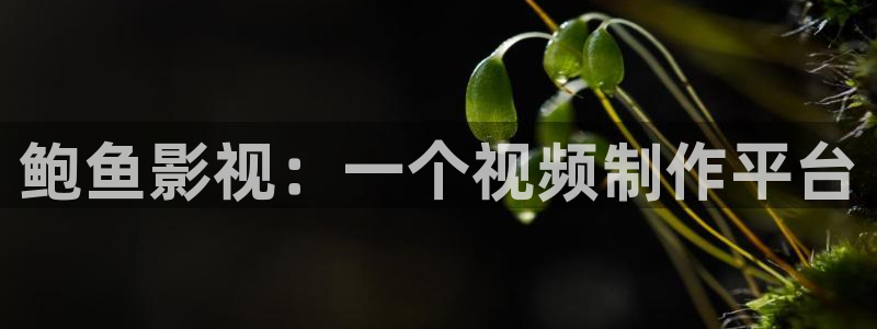 高清樱花视频
