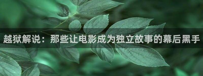 樱花影视免费看电视剧