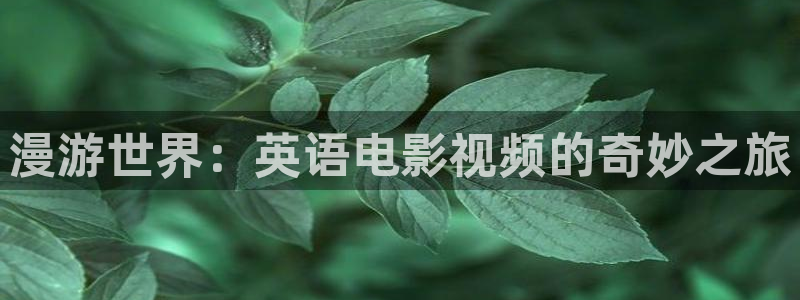樱花影视电影电视剧免费观看