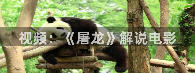 樱花视频下载app下载