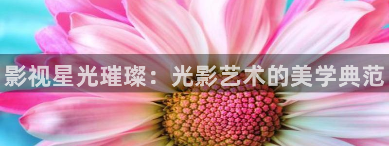 唯美樱花视频