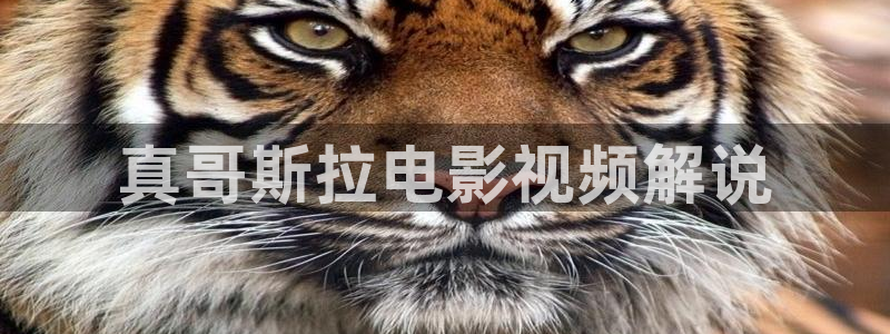 国产~樱花视频