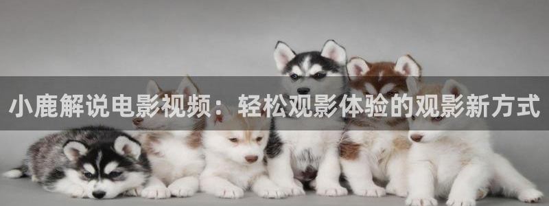 樱花视频app下载安装