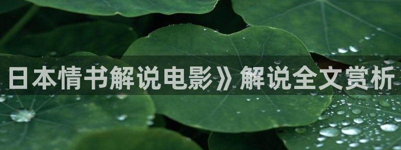 樱花视频在线观看高清电视剧