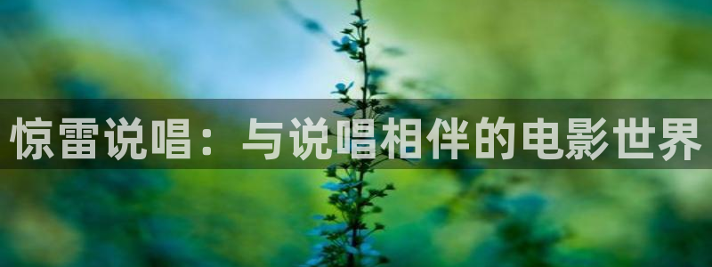 樱花视频播放全集