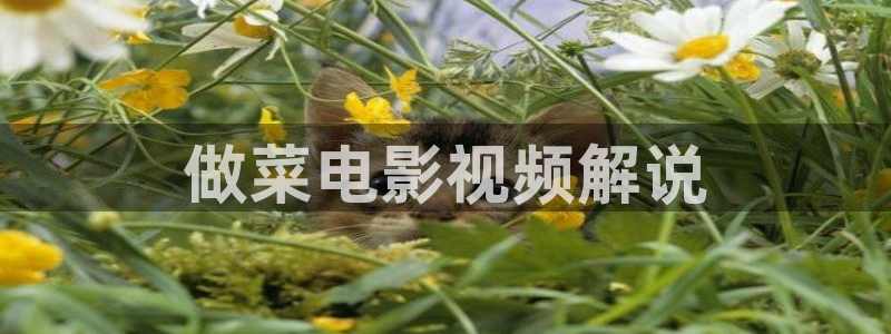 樱花影院在线免费