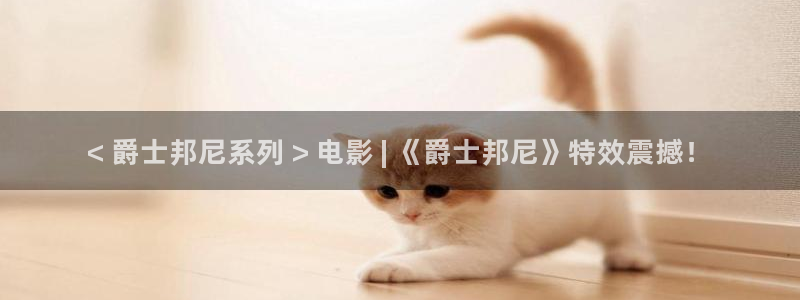 樱花视频欣赏