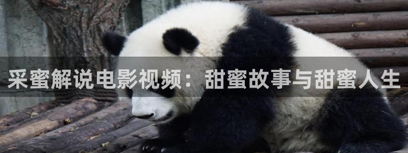 樱花视频全部