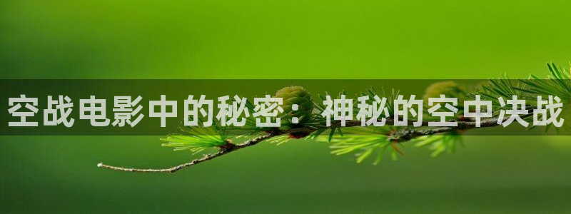 樱花视频 在线观看